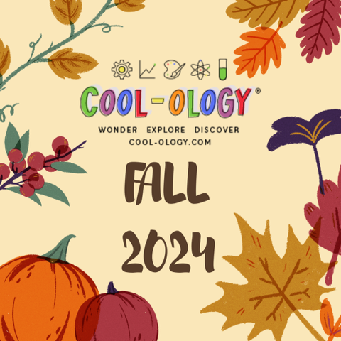 Fall 2024